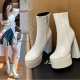 Carine - Bottes à plateforme et talon haut